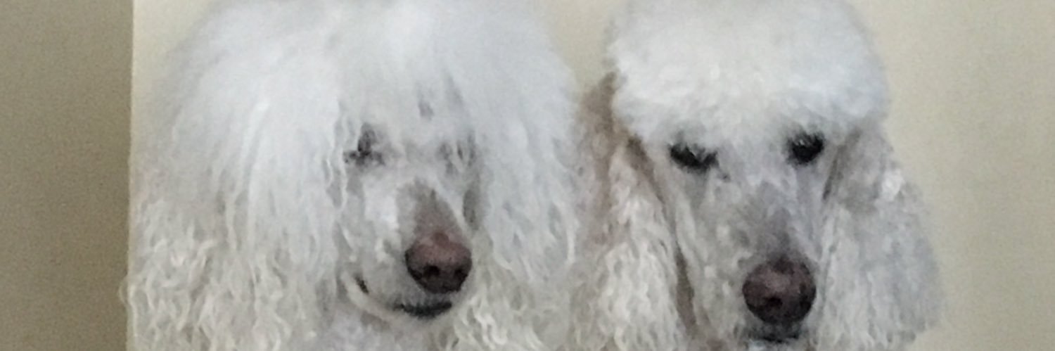bayfabulous's profile banner image