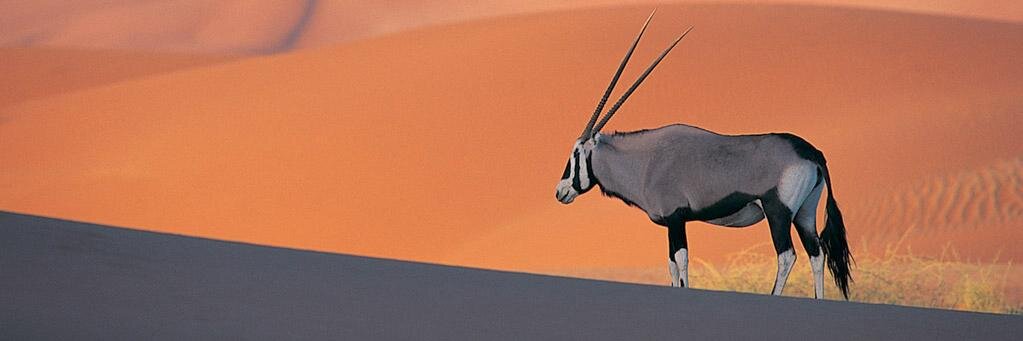 rsam2006's profile banner image