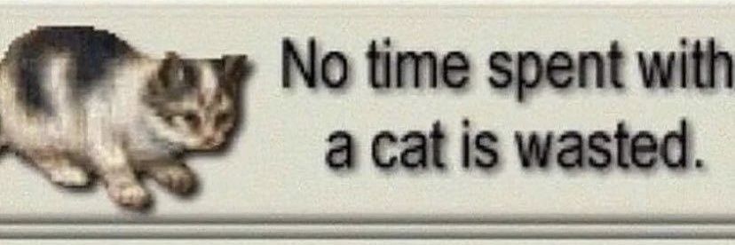 BrunodeLeao's profile banner image