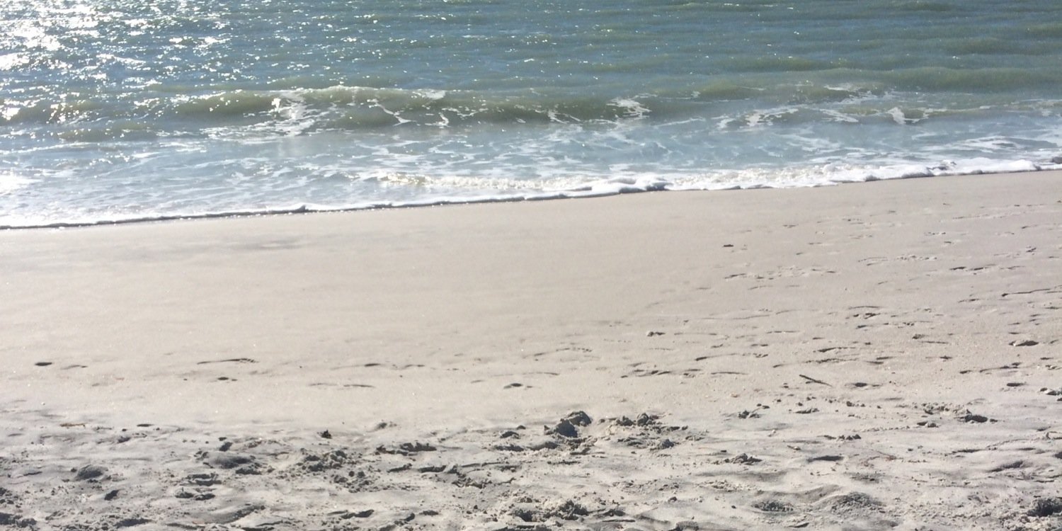 perfectlygirrl's profile banner image