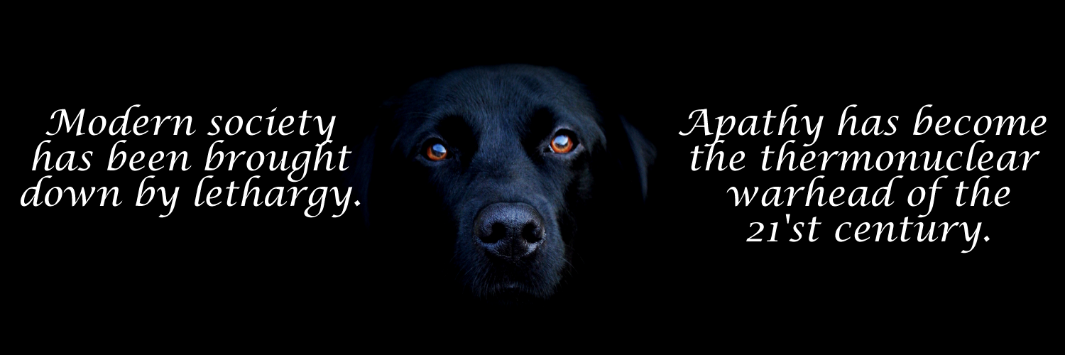 blackdoginet's profile banner image