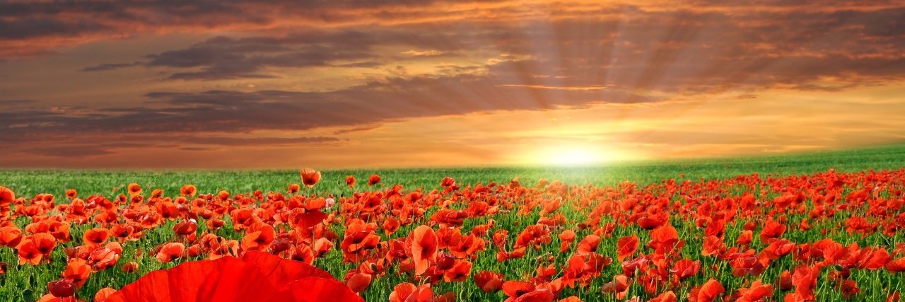 HP History Dept banner