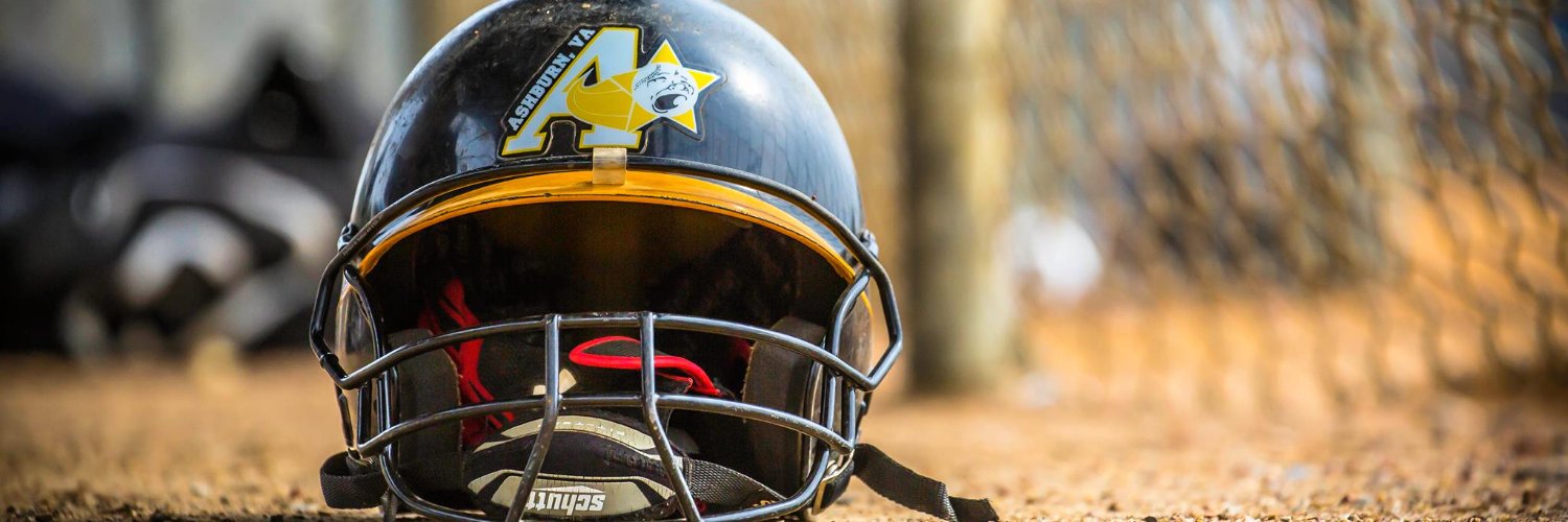 Ashburn Shooting Stars banner