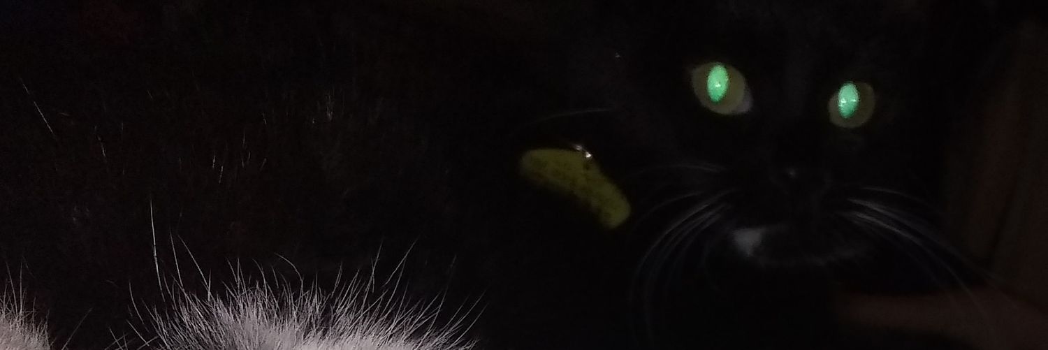 wubomei's profile banner image