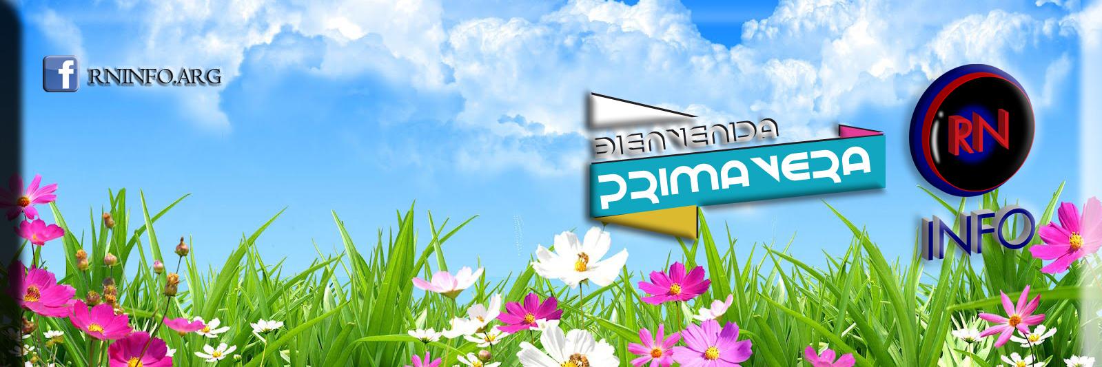 RNINFOARG's profile banner image