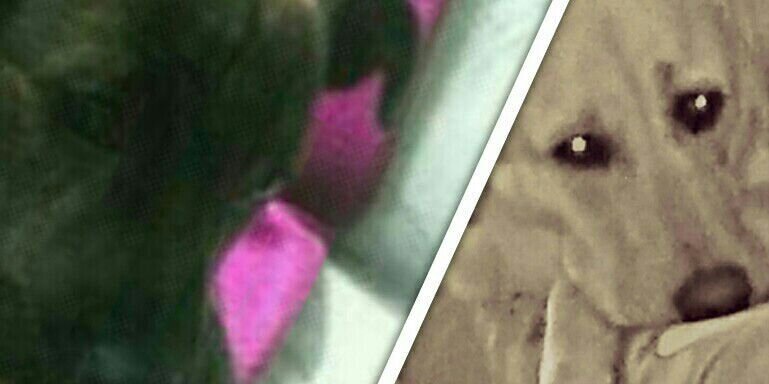 adryanlopez8's profile banner image
