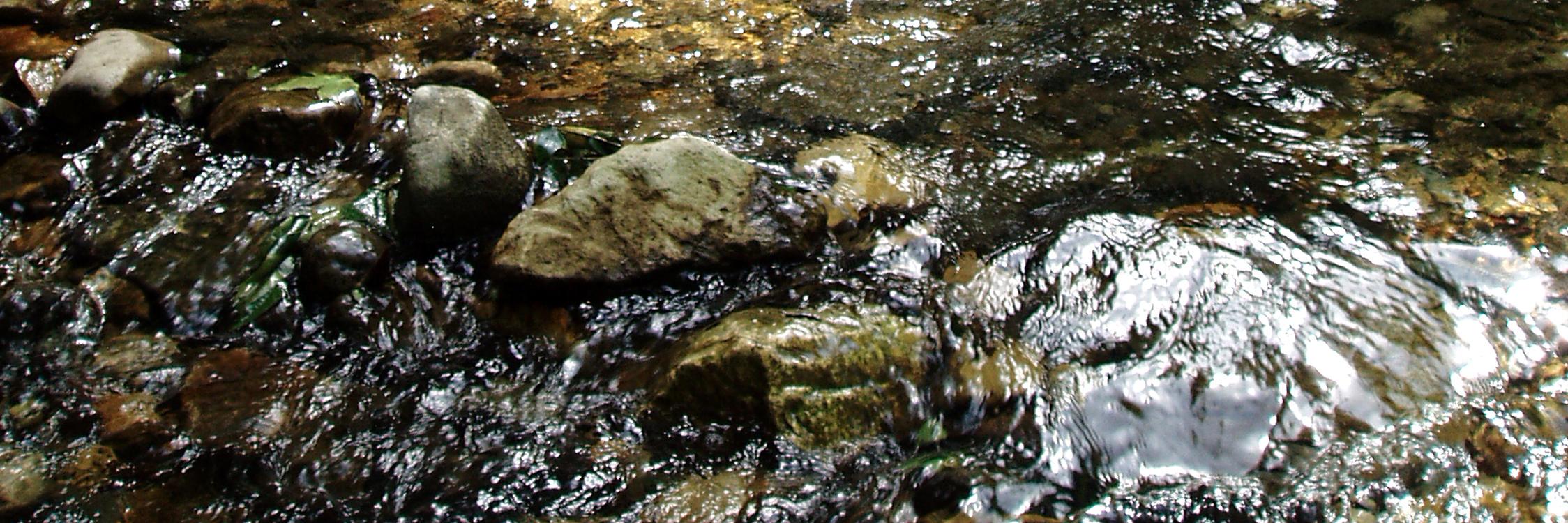 savewaterco's profile banner image