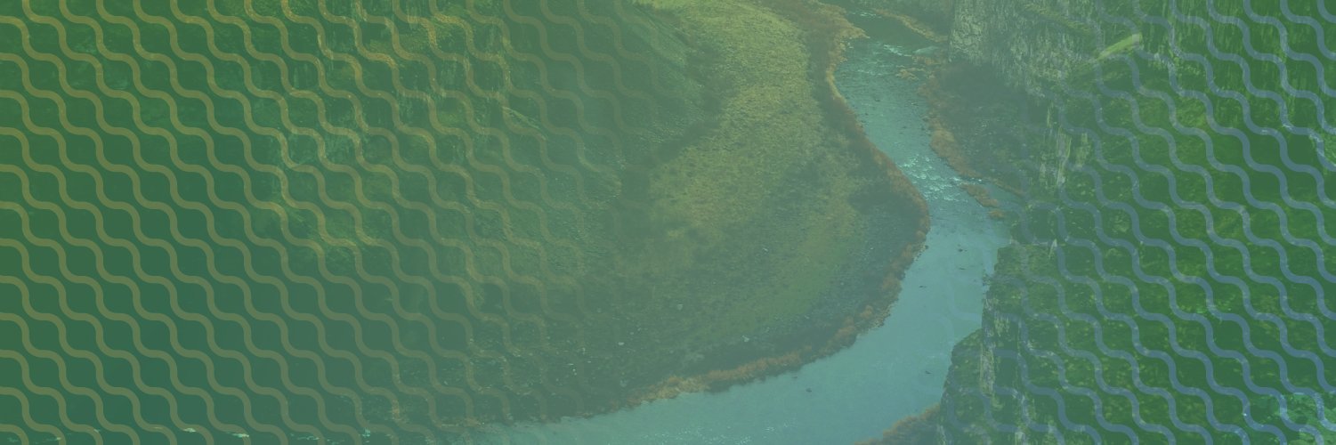debezium's profile banner image