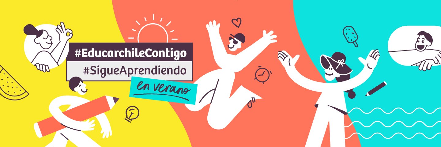 Portal Educarchile banner