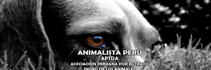 AnimalistaPeru's profile banner image