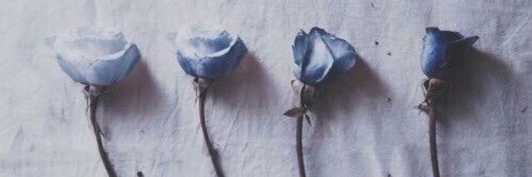 allyvvictoria's profile banner image