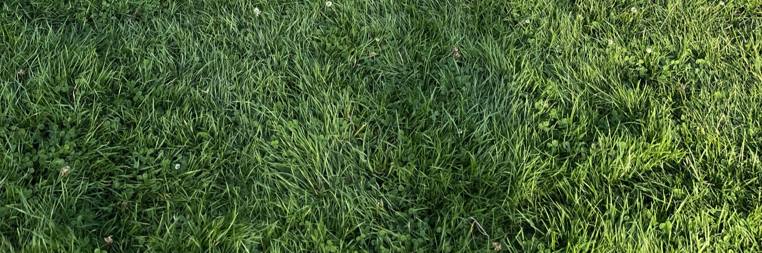 snakeundergras's profile banner image