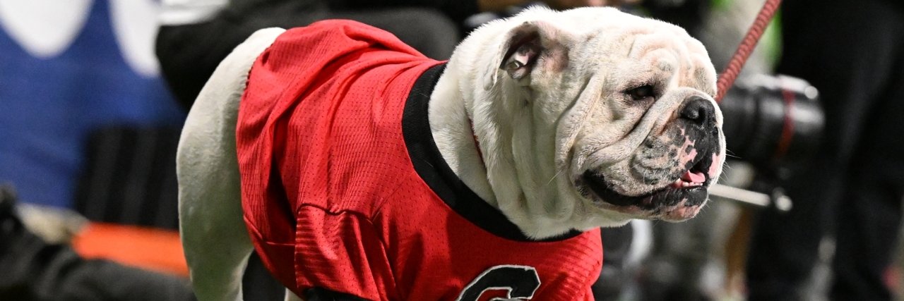 I was promised a good time... banner