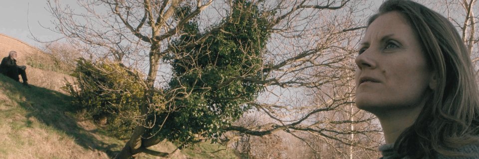 kyewilson's profile banner image