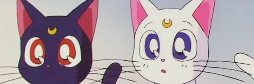 aliebettth's profile banner image