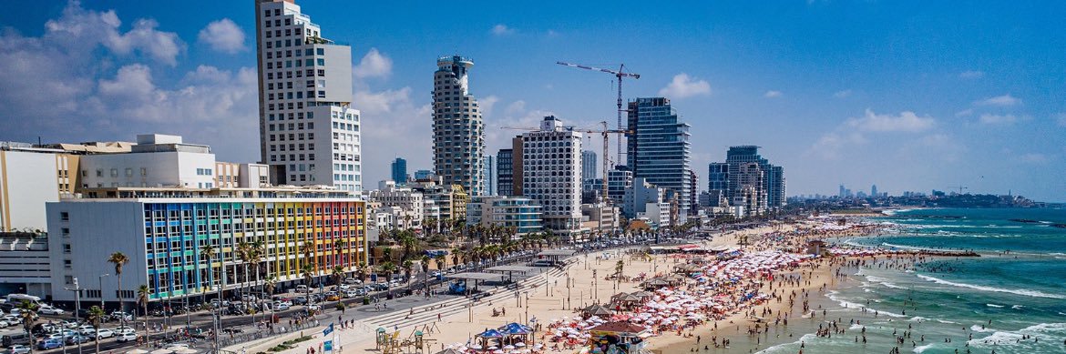 Rosanne Stein banner