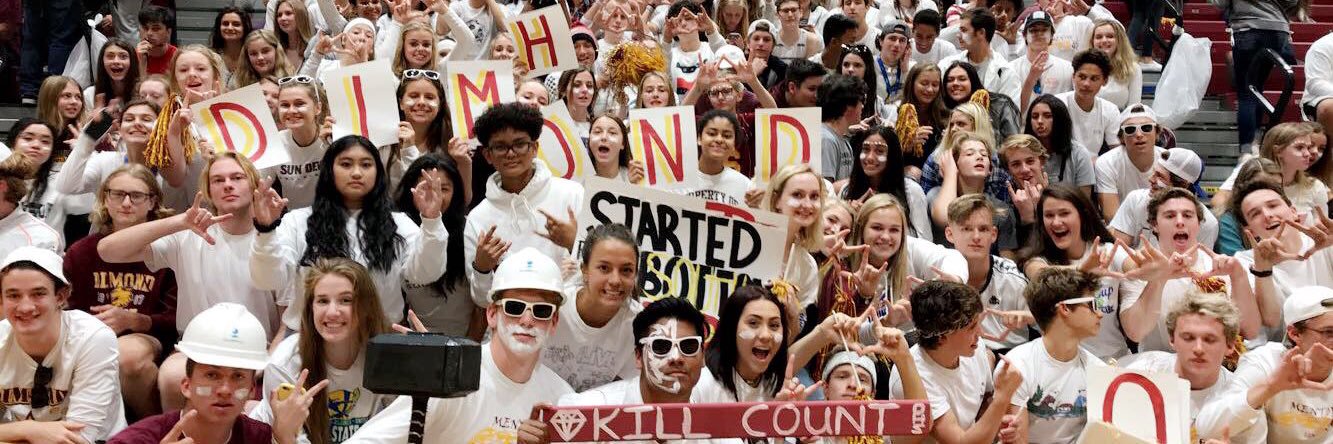 Dimond High School banner
