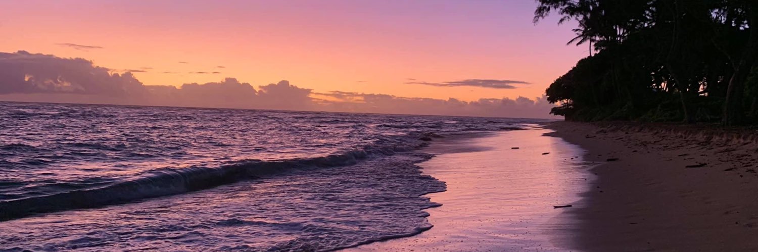 juliaaheitzman's profile banner image