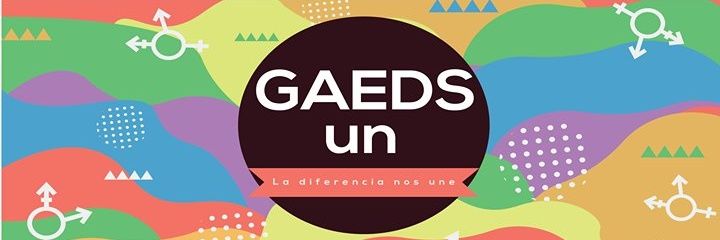 GAEDS UN 🏳️‍🌈 banner