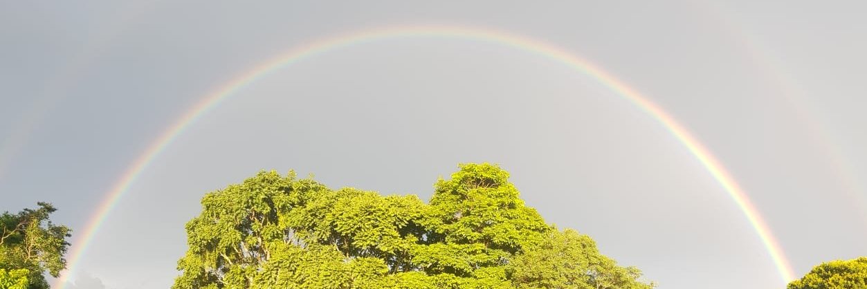 William K. Wolfrum banner