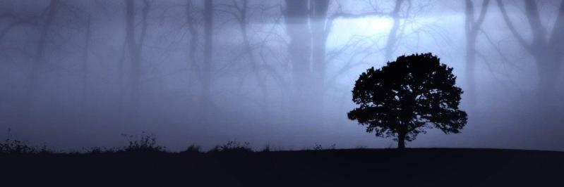 Isabel_rilwen's profile banner image
