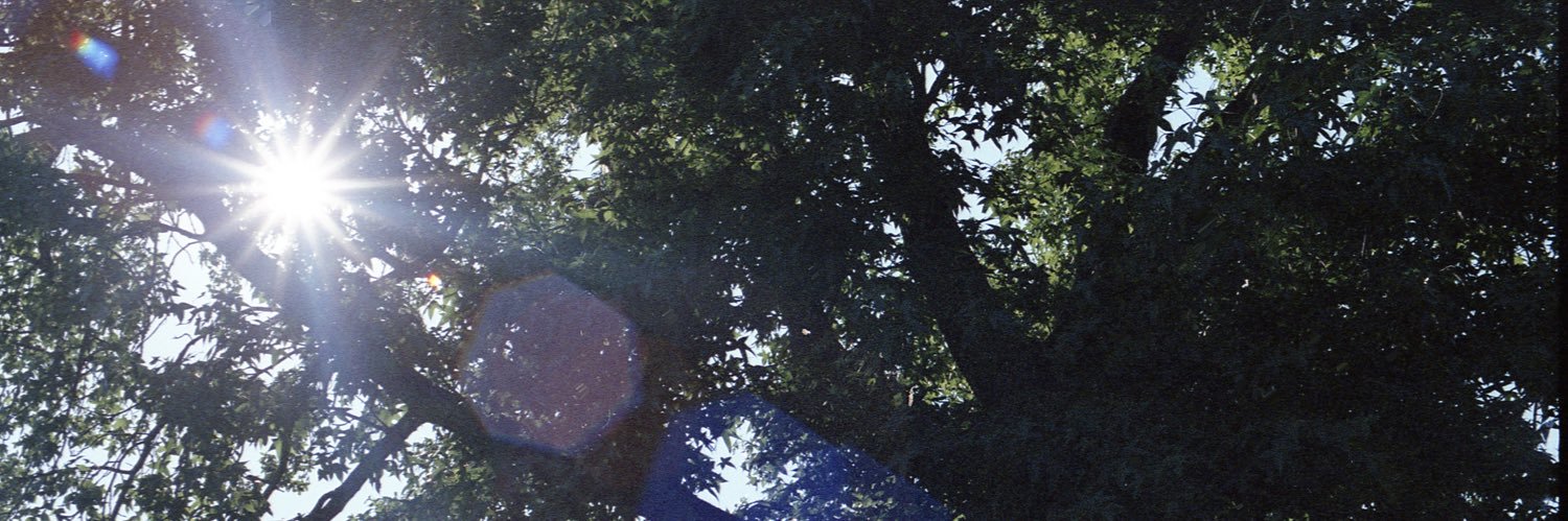 SirDonaldB's profile banner image