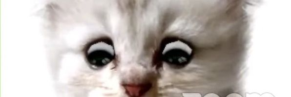 ChefWackADoodle's profile banner image
