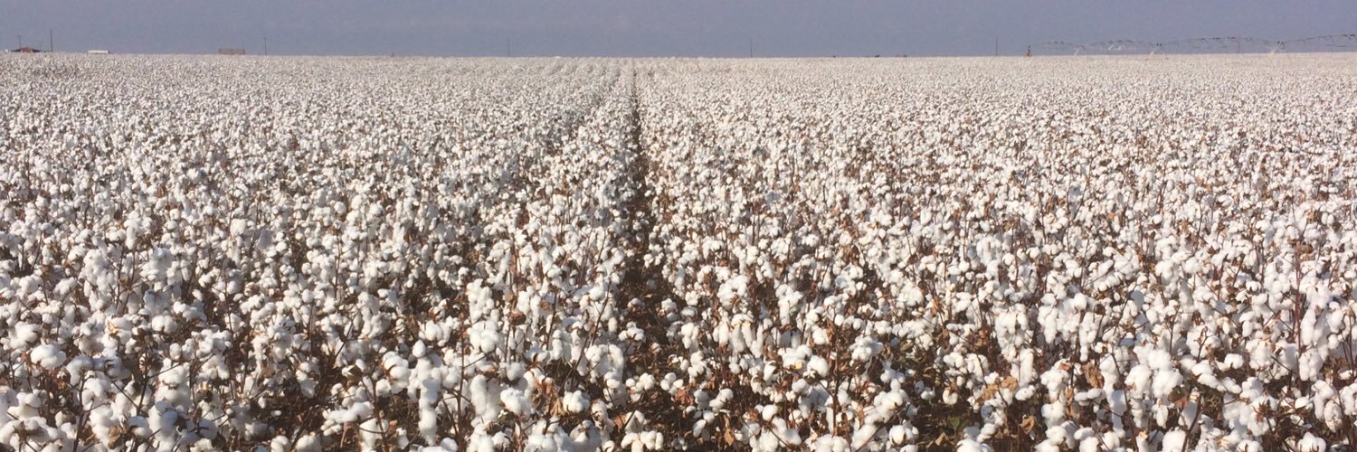 holladayfarms's profile banner image