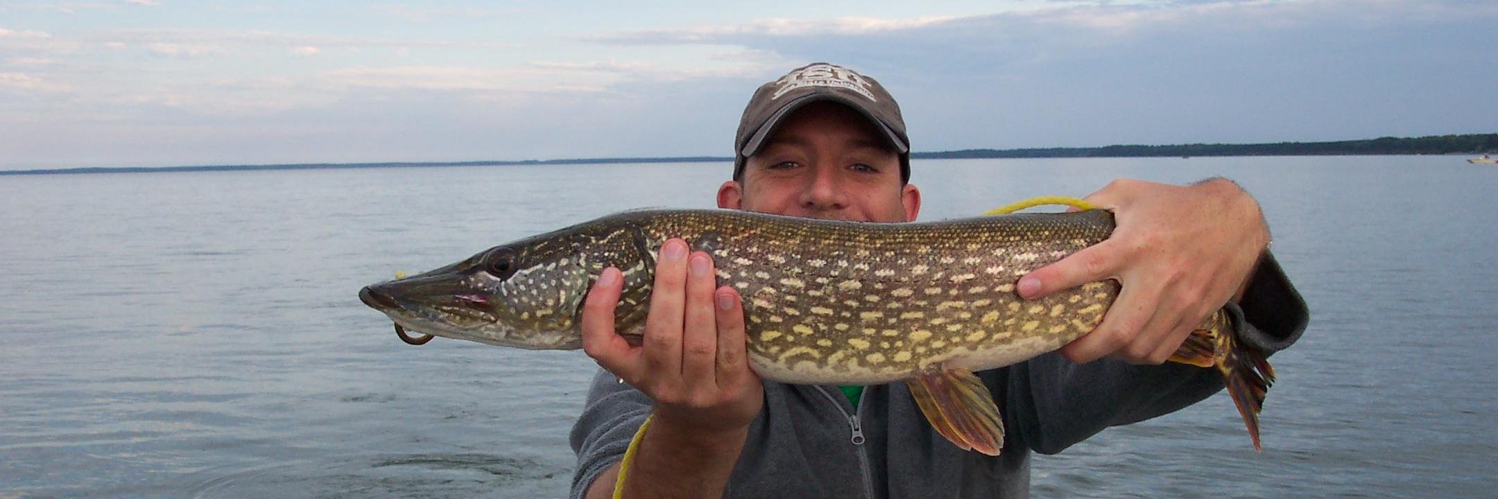 bryansmouse's profile banner image