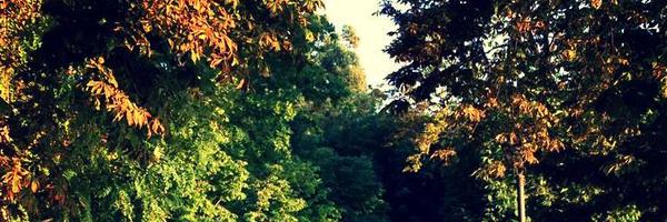 cgildiaz Profile Banner