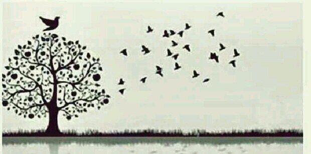 Suedmi's profile banner image