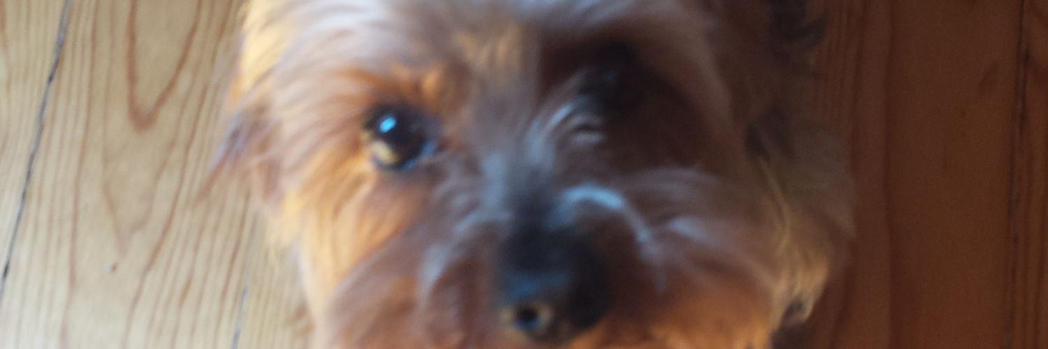 DennisWdF's profile banner image