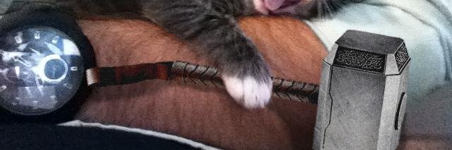 ThorMeowMeow's profile banner image