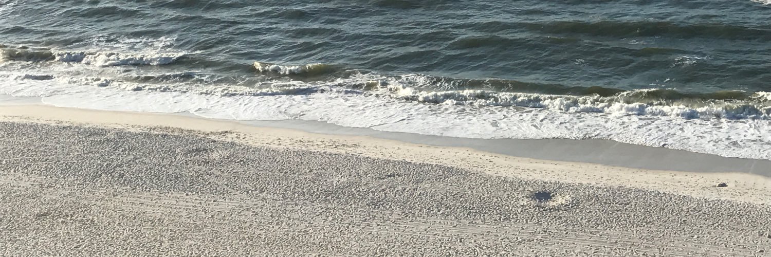 Lindsey Miller banner