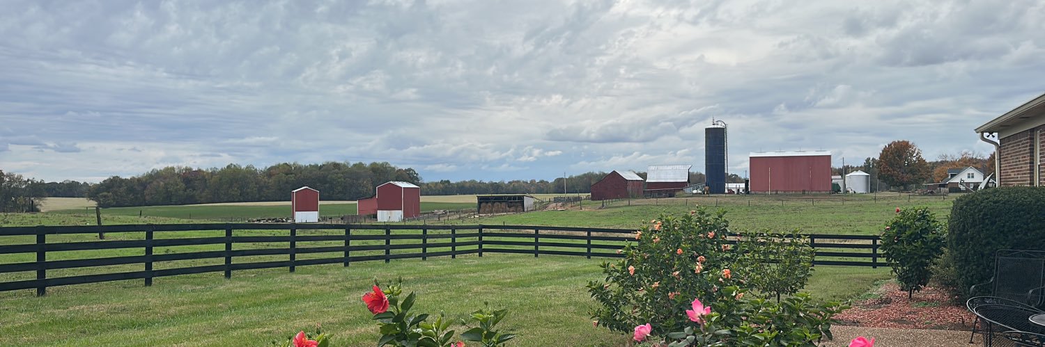 Kim Pinson Hendley banner
