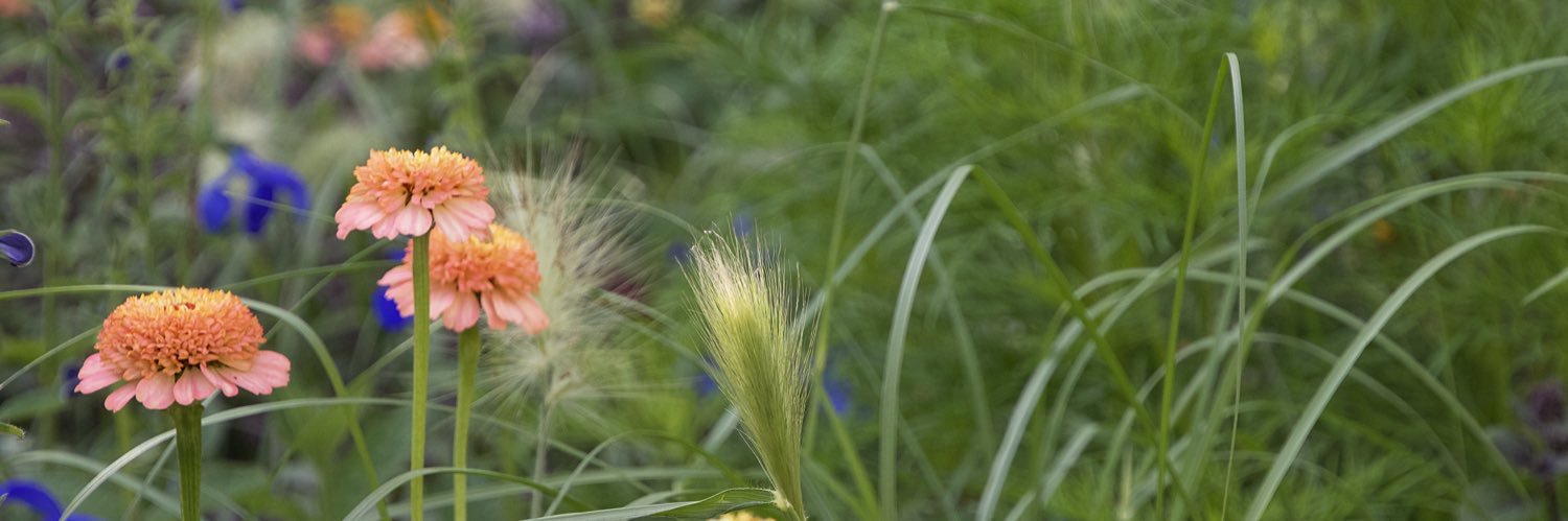wilstak's profile banner image