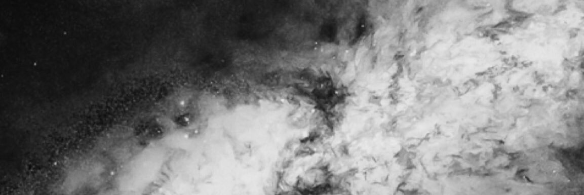 cevizz's profile banner image