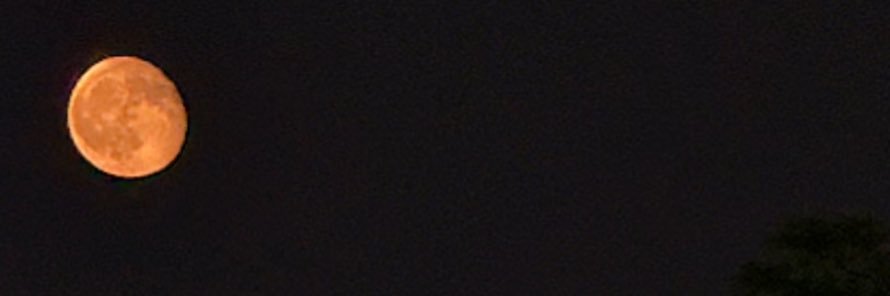moonlighthwang's profile banner image