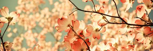 hayney93's profile banner image