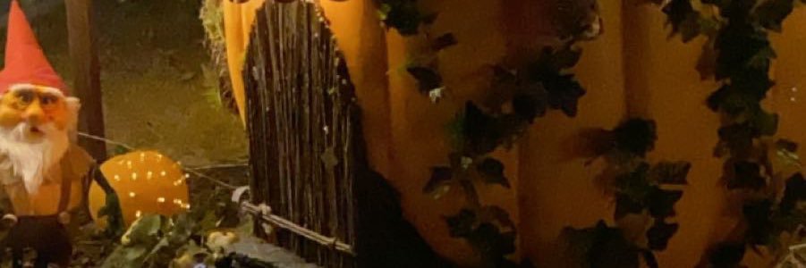 spicenosugarr's profile banner image