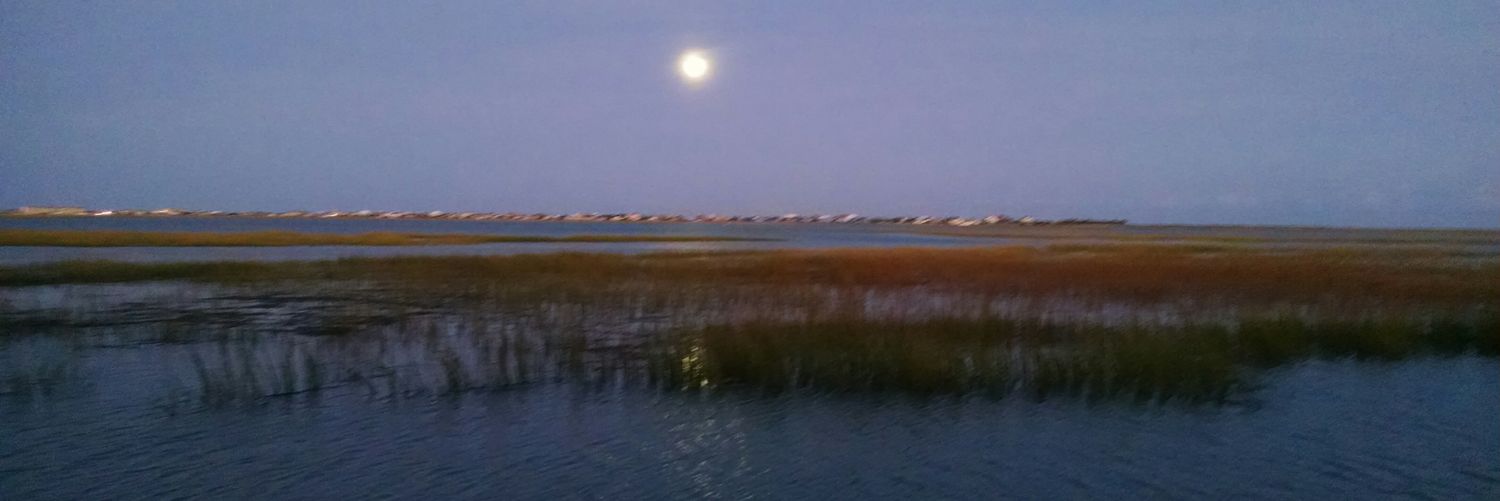 Rebecca Saunders banner