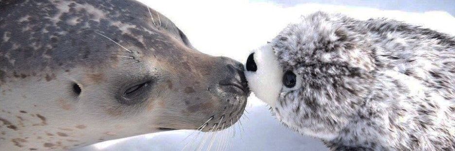 한당근씨🍋‍🟩 banner