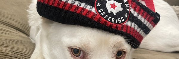 Hoggys Profile Banner