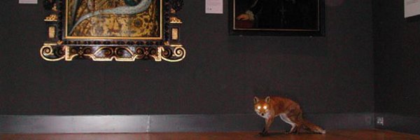 brinkerf Profile Banner