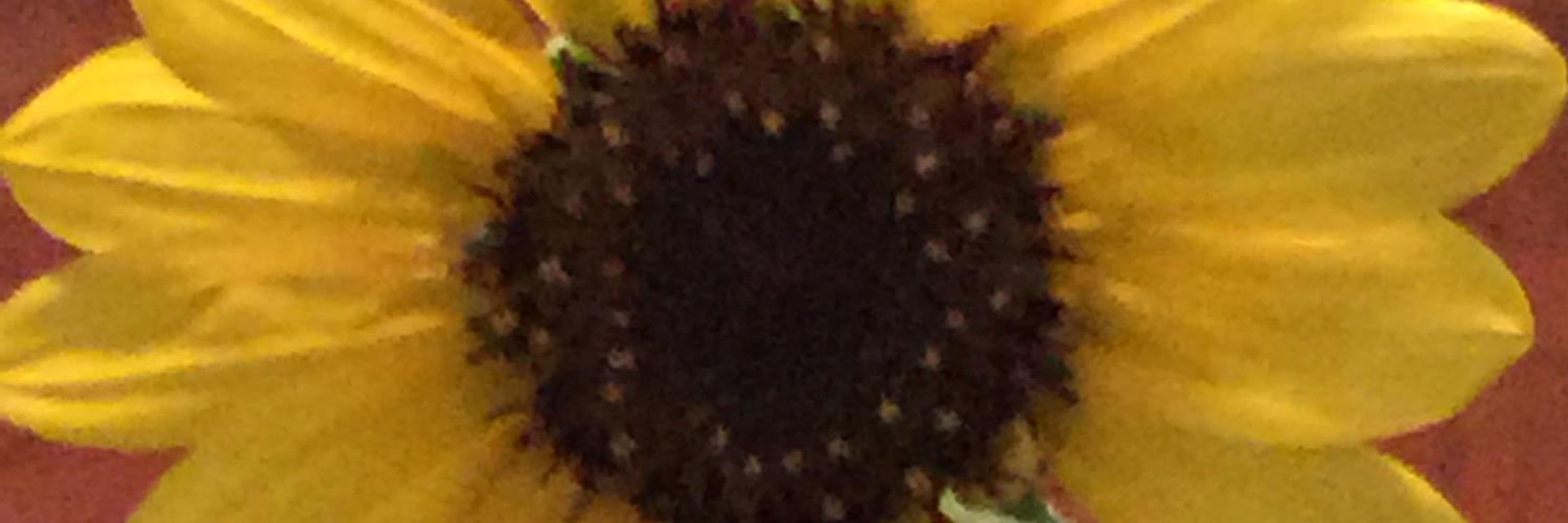 mlalonzo's profile banner image