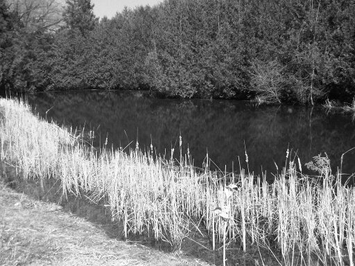 DerekSepper's profile banner image