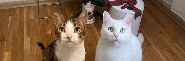 Venulikis Profile Banner