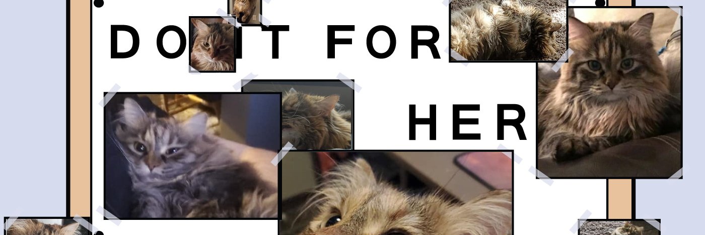 Sleepypirate605's profile banner image