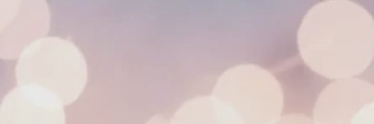danielavollmer's profile banner image