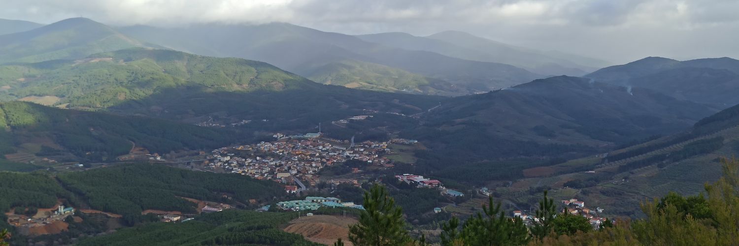 Jesús Sánchez banner